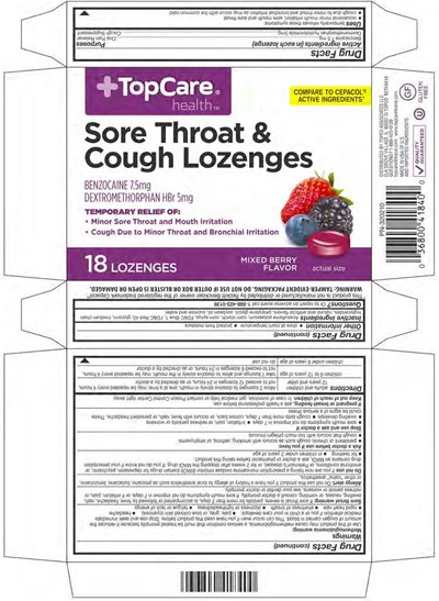 Topcare Mixed Berry Benz-dex 18ct Lozenges (Topcare Mixed Berry Benz Dex 18ct 320210 6 27 2018tm)